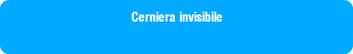 Cerniera invisibile
